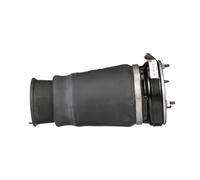 Arnott A-2862 Air Spring, suspension
