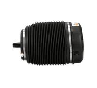 A-2960 Rear Right Left Air Suspension Spring Strut Shock Absorber By Arnott