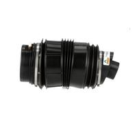 Arnott A-3329 Air Spring, suspension