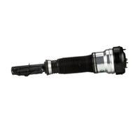 Arnott AS-2193 Air suspension strut
