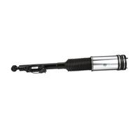 Arnott AS-2194 Air suspension strut