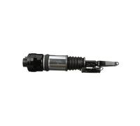 Arnott AS-2294 Air suspension strut