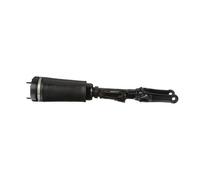Arnott AS-2394 Air suspension strut