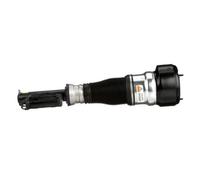 Arnott AS-2540 Air suspension strut