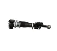 Arnott AS-2548 Air suspension strut