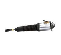 Arnott AS-2562 Air suspension strut