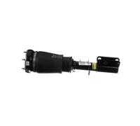 Arnott AS-2764 Air suspension strut