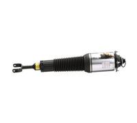 Arnott AS-2777 Air suspension strut