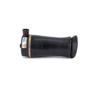 ARNOTT AS-2809 Air Suspension Strut Front Top Yoke Bottom Eye Fits Land Rover