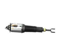 Arnott AS-2892 Air suspension strut