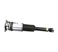 Arnott AS-2959 Air suspension strut