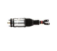 Arnott AS-3017 Air suspension strut