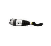 Arnott AS-3056 Air suspension strut