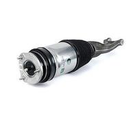 Arnott AS-3176 Air Spring Strut for TESLA