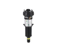 Arnott AS-3312 Air suspension strut