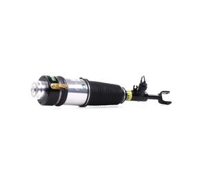 Arnott AS-3363 Air suspension strut