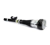 ARNOTT AS-3365 Air Spring Strut Rear Left Fits Mercedes-Benz S-Class W222