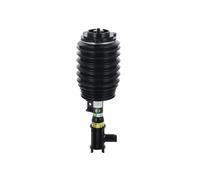 Arnott AS-3899 Air suspension strut