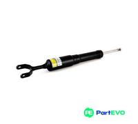 Arnott SK-2779 Shock absorber