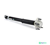 Arnott SK-3385 Shock absorber