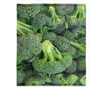 ARNOVIC Broccoli Blanket Flannel Soft and Comfortable Microfiber Warm Air Conditioning Blanket Bed Sofa Office 50"x40"