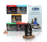 ARO VATIKA Natural Masala 50 Backflow Pack 'A' Incense Cones with 5 Different Assorted Fragrances of Nag Champa, White Sage, Dragons Blood, Palo Santo, Musk | Burn time- 16-18 mins Approx