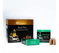 ARO VATIKA White Sage Backflow Natural Masala 120 Incense Cones in Pack of 12 Environment-Friendly Dhoop | Best for Prayer, Reiki, Meditation and Relaxation | Burn Time- Approx 16-18 mins