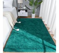 AROGAN Shag Area Rug for Bedroom, 4x6 Feet Washable for Living Room, Non-Slip Indoor Floor Carpet, Plush Memory Foam Beside for Kids Girls Teens Room Decor, Teal Green