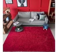 AROGAN Shag Modern Area Rug for Living Room, 5x8 Feet Washable Floor Carpet Decor, Plush Memory Foam Beside Rugs for Kids Girls Teens Room Non-Slip, Wine Red