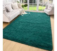 AROGAN Shag Teal Area Rug, 5x7 Feet Washable Non-Slip Modern Indoor Floor Carpet, Plush Memory Foam Beside Rug for Kids Girls Teens Room Low Pile Decor