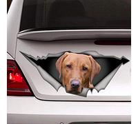 ArogGeld Red Labrador Decal Animal Sticker Vinyl Material Realistic Style Decorative Sticker Car Bumper Door Window Wall Reusable