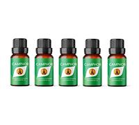 Aroma Energy | Camphor Essential Oil - 50ml (5 x 10ml Bottles) - 100% Pure & Natural