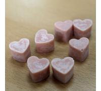 Aroma Wax Melts Peppermint & Eucalytus AWMJ-02 AW