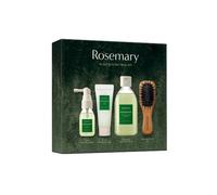 AROMATICA Rosemary Scalp Scaling Trial Kit - Hair Travel Kit | Travel Size Shampoo and Dry Scalp Treatment Set with Mini Wooden Brush