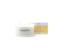 AromaWorks Multiwick Mandarin & Vertivert Candle Clear