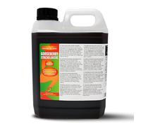 Aromhuset 5 Litres Gooseberry Diluting Concentrate - Makes 160 L Drink - Zero Sugar & Highly Concentrated - Mixing Ratio 1:32 - Gooseberry Diluting Juice Flavour Ready To Drink