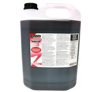 Aromhuset 5 Litres Raspberry Diluting Concentrate - Makes 160 L Drink - Zero Sugar & Highly Concentrated - Mixing Ratio 1:32 - Raspberry Diluting Juice Flavour Ready To Drink