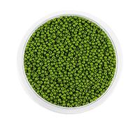 Around 9000pcs Opaque Glass Seed Beads Round Pony Bead Mini Spacer Beads 2mm for Jewellery Making Hair Accessories Beadwork Craft (Dark Green)