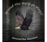 Around the World on Wings!