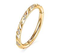 AROWRO Gold Conch Daith Helix Rook Orbital Tragus Piercing Jewelry 16G 6mm Cartlidge Septum Daith Ear Conch Jewelry CZ Helix Hoop Nose Rings Cartilage Conch Earring Tragus Cartilage Hoop Earrings