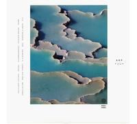 ARP - Zebra - Vinyl (2xLP + MP3 download code)