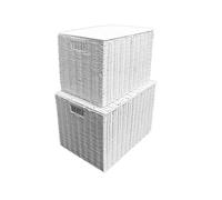 Laundry Resin Woven Basket Storage Chest Trunk Hamper/Kids Toy Storage Box Basket (Medium - W37xD26x26cms) Arpan White M
