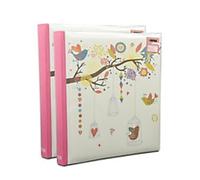 ARPAN Photo Album LB57-X2 200 6X4'' Pictures Light Yellow Pack of 2