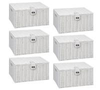 ARPAN Resin Woven Storage Basket Box with Lid & Lock, White, 6, Small