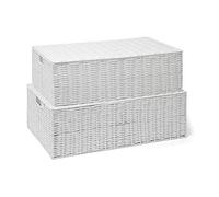 ARPAN Resin Woven Under Bed Storage Box, Chest Shelf Toy Clothes Basket With Lid - White (Set - 1 x Large, 1 x Medium)