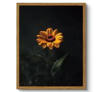 ARPEOTCY Framed Canvas Wall Art Prints, Living Room Hallway Shelf Decor, Dark Sunflower Flower Paintings Wall Decoration, Retro Rustic Farmhouse Art for Bedroom Bathroom Table Decor, 20x25cm