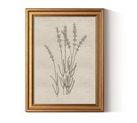 ARPEOTCY Retro Gold Framed Canvas Prints Wall Art, Vintage Bedroom Decor, Minimalist Lavender Botanical Gallery Paintings Aesthetic Farmhouse Wall Decor for Living Room Bathroom Shelf, 30x40cm