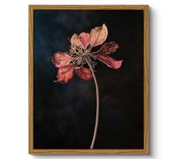 ARPEOTCY Vintage Framed Botanical Wall Art, Bedroom Bathroom Dark Dried Flower Pictures Art Decor, Canvas Print Retro Paintings, Home Rustic Farmhouse Neutral Moody Decor, 8x10 Inch