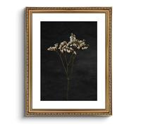 ARPEOTCY Vintage Gold Framed Large Wall Art, Retro Dark Dried Wildflower Painting, Canvas Prints with Antique Frame, Victorian Wall Picture Decor for Living Room Gallery Bedroom, 16x20 inch