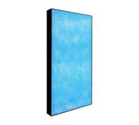 ARPZPPSK Hepa Filter，Compatible For Daikin，Replacement HEPA Filter For MC71NV2C-N/W/R/S ACK70N70P MCK70 TCK70 Air Purifier Filter,400 * 230 * 35mm